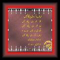 Said-u-Allah Shah_ina zekir_Punjabi 01 * 22.03.2008 * 466 x 420 * (34KB)